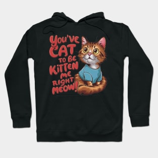 Cat Lover - Youve Cat to be Kitten Meow Hoodie